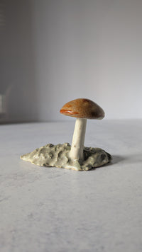 Mushroom: Shiny Orange Cap