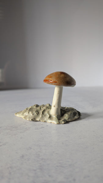Mushroom: Shiny Orange Cap