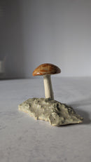 Mushroom: Shiny Orange Cap
