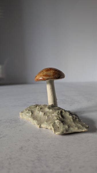 Mushroom: Shiny Orange Cap