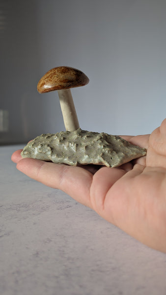 Mushroom: Shiny Orange Cap