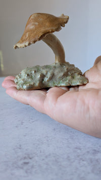 Mushroom: Dance of Life
