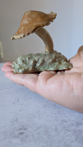 Person holding a large mushroom with a textured cap and base against a neutral background