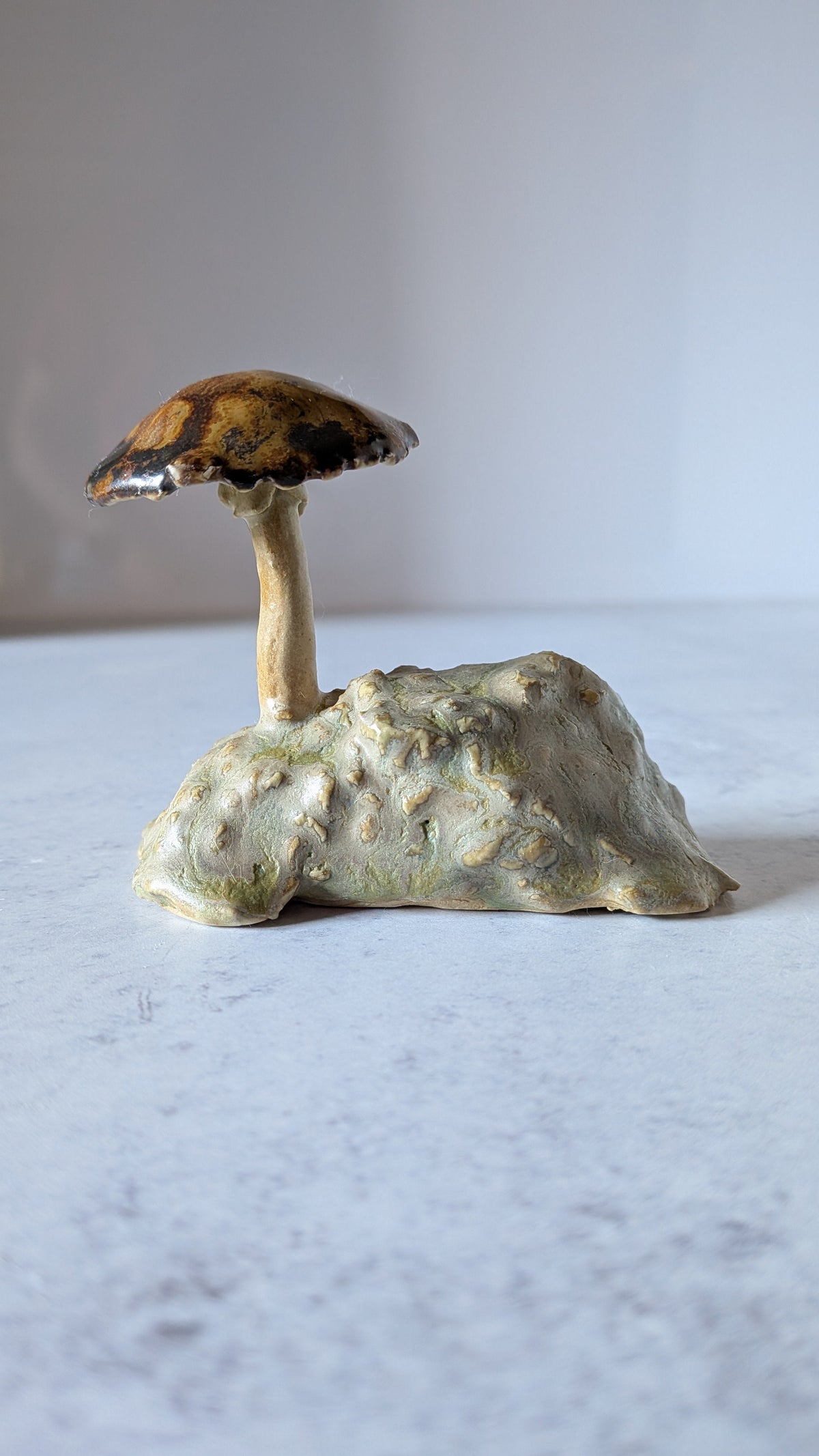 Mushroom: Slippery Browncap