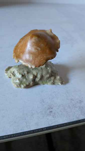 Mushroom: Dance of Life