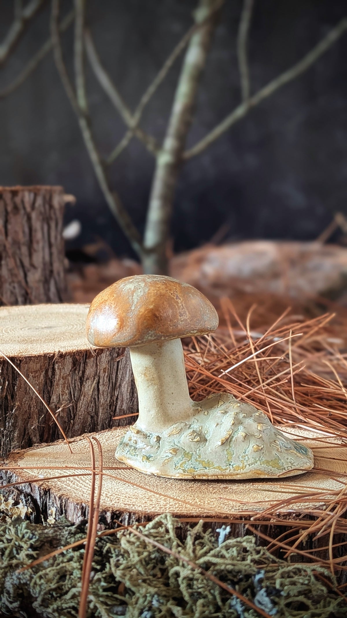 Mushroom: Small Orange Cap Bolete