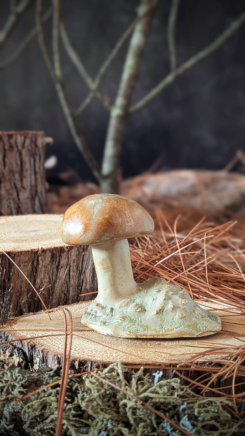 Mushroom: Small Orange Cap Bolete