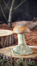 Mushroom: Small Orange Cap Bolete