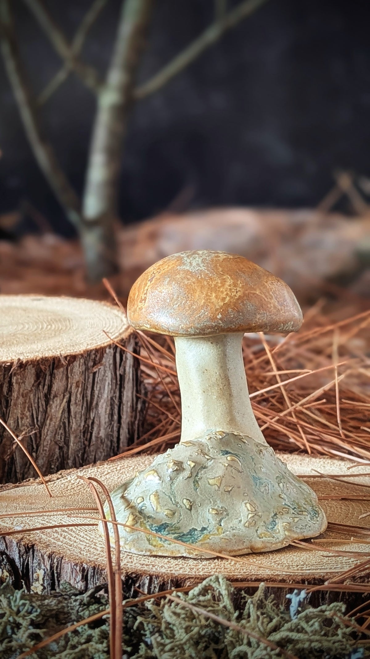 Mushroom: Small Orange Cap Bolete