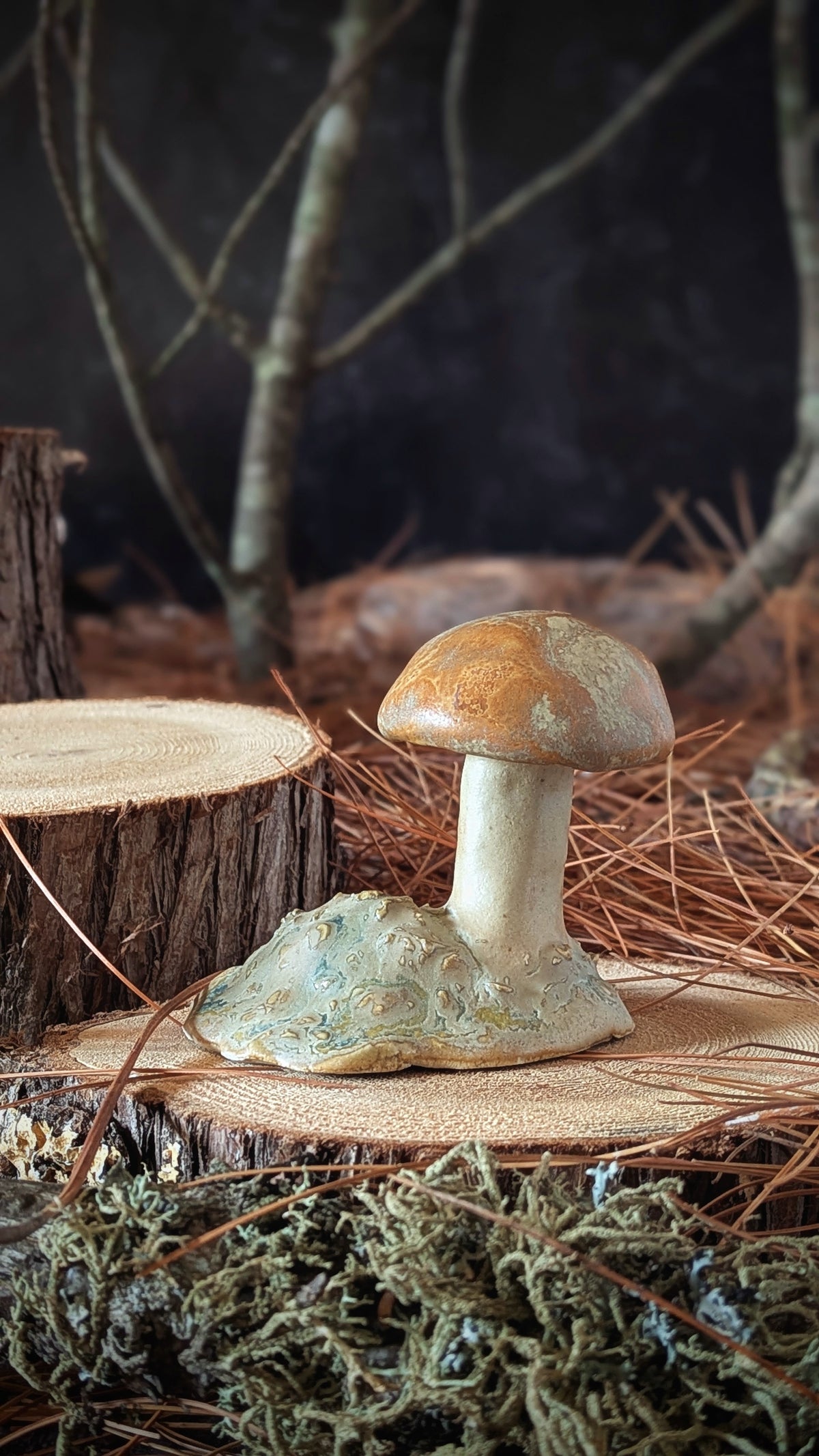 Mushroom: Small Orange Cap Bolete
