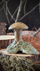 Mushroom: Chunky lil Toadstool