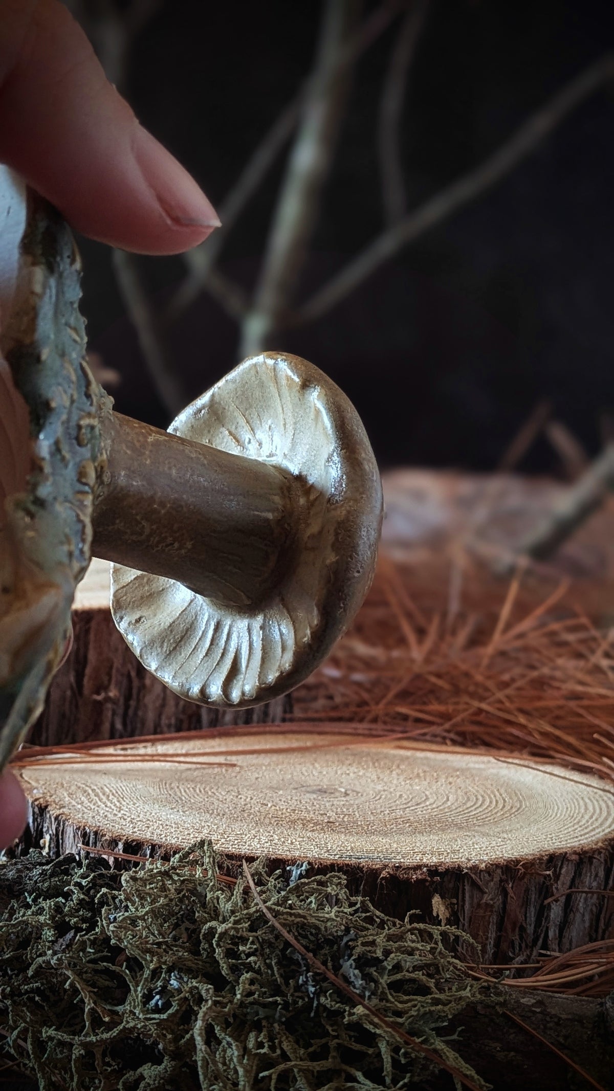 Mushroom: Chunky lil Toadstool