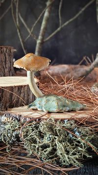Mushroom: Orange Bonnet