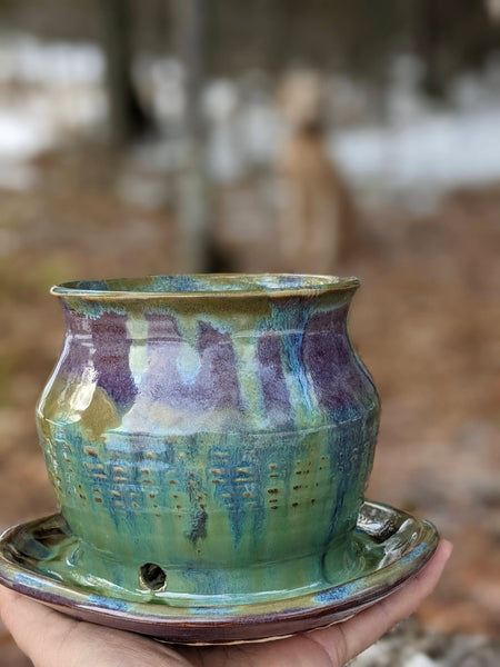 Planter: Purple & Green