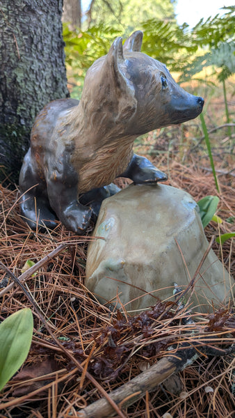 Pine Marten with rock