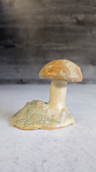 Mushroom: Small Orange Cap Bolete