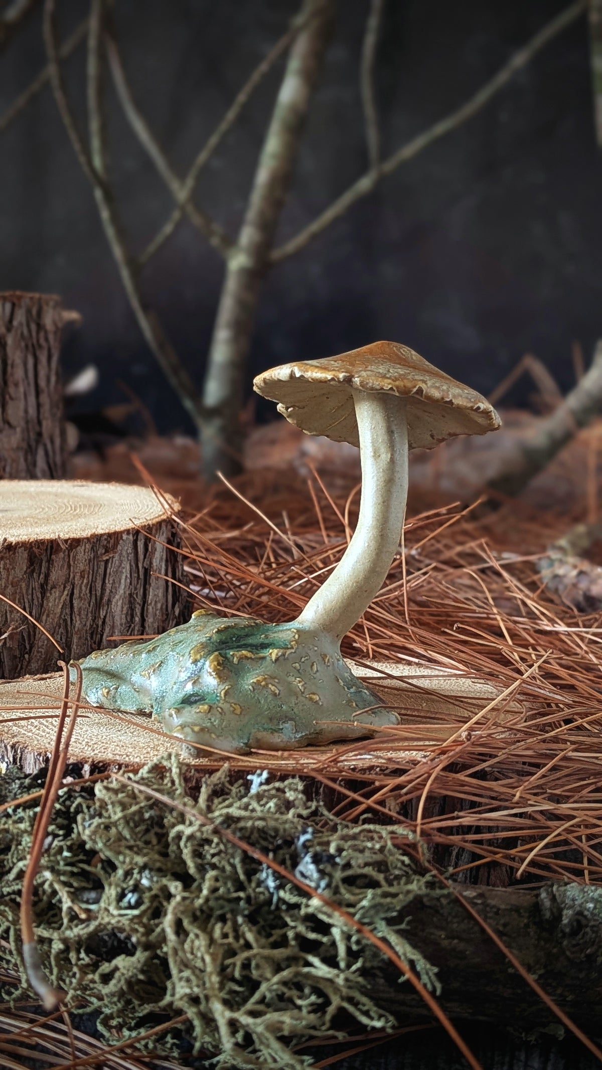 Mushroom: Orange Bonnet