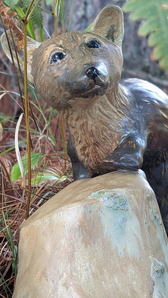 Pine Marten with rock