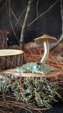 Mushroom: Orange Bonnet