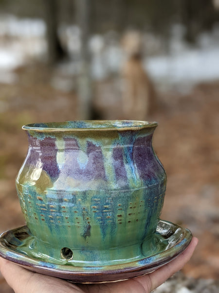 Planter: Purple & Green