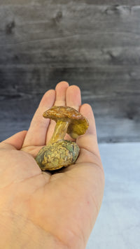 Mushroom: Small & Mighty