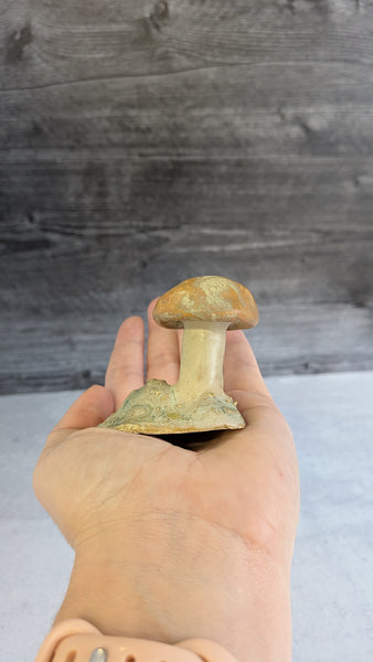 Mushroom: Small Orange Cap Bolete