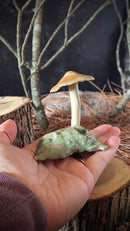 Mushroom: Orange Bonnet