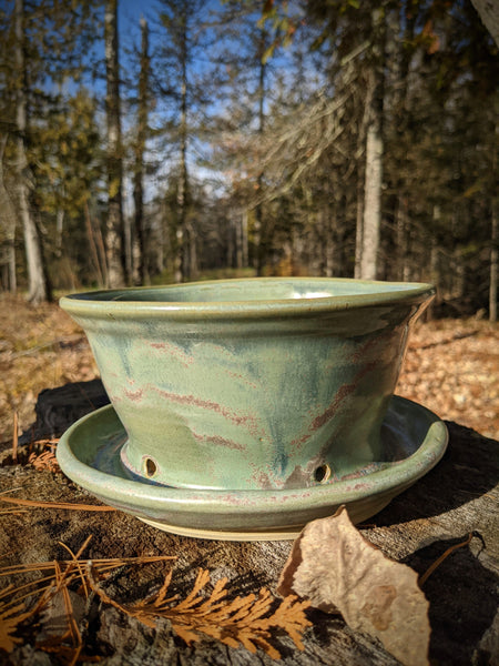 Planter: Eggplant