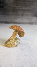 Mushroom: Small & Mighty