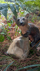 Pine Marten with rock