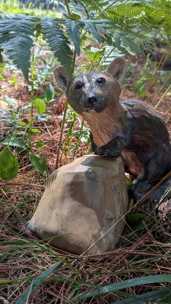 Pine Marten with rock