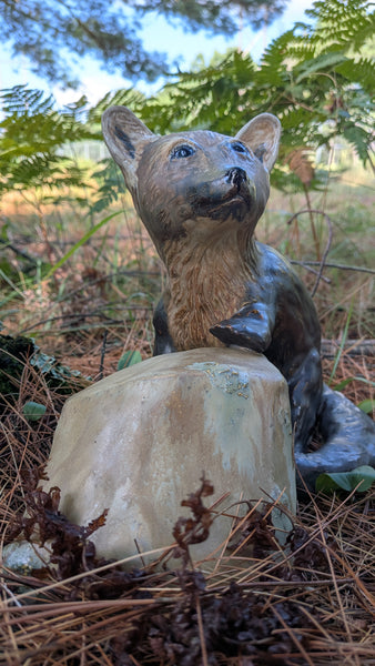 Pine Marten with rock