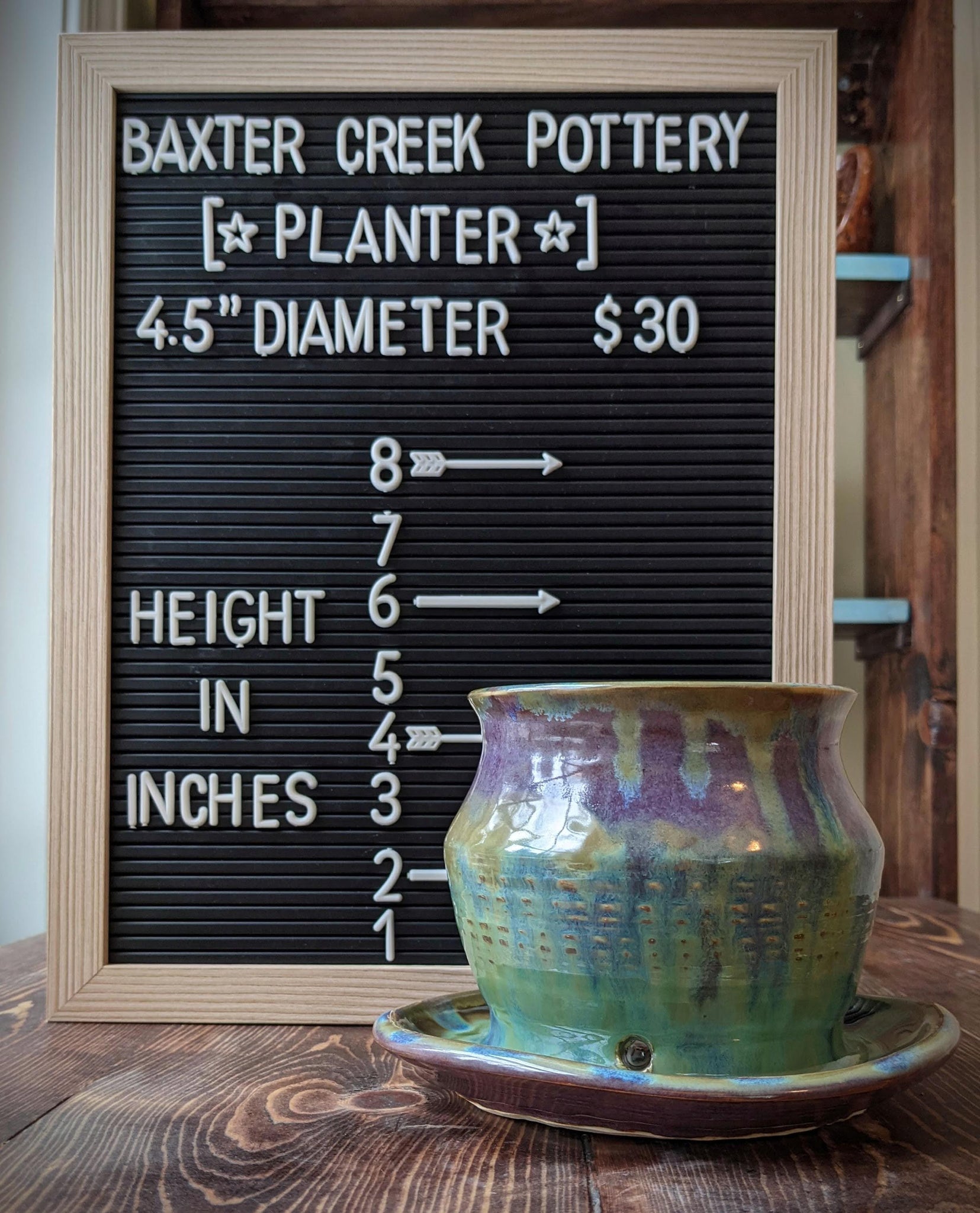 Planter: Purple & Green